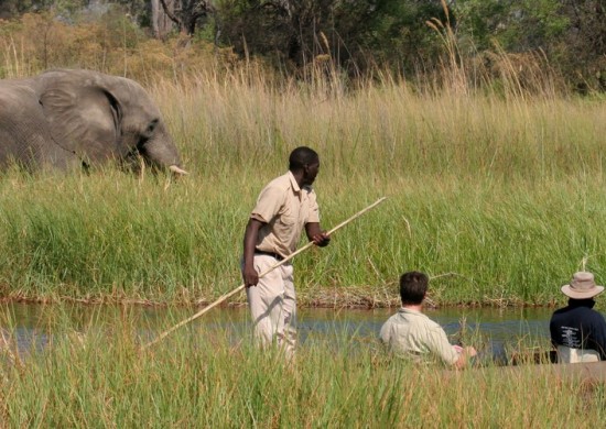 Okavango Moremi crossing Lekkerbly 1
