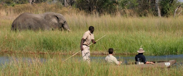 Moremi crossing long 9